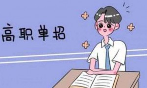 单招sf123发布网:为单招考生提供全面支持的攻略