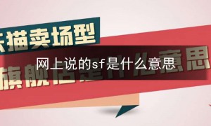sf123是什么意思,网上说的sf是什么意思