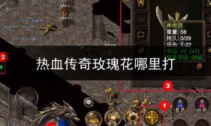 SF123传奇玫瑰花图片,热血传奇玫瑰花哪里打