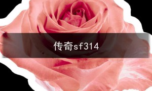 SF123传奇玫瑰花图片,热血传奇玫瑰花哪里打