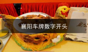 湖北襄阳sf123车牌,襄阳车牌数字开头