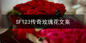SF123传奇玫瑰花文案,传奇玫瑰鲜花图片