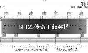 SF123传奇王菲穿搭,王菲《传奇》现场珍藏版